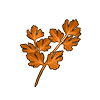 item020402.png