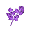 item020407.png