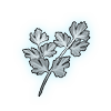 item020409.png