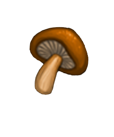 item020502.png