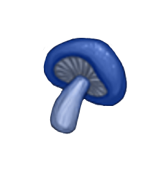 item020504.png