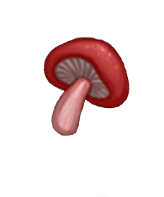 item020506.png