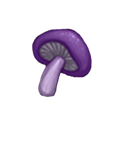 item020507.png