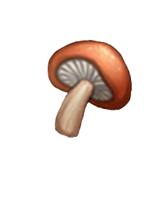 item020508.png