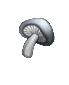 item020509.png