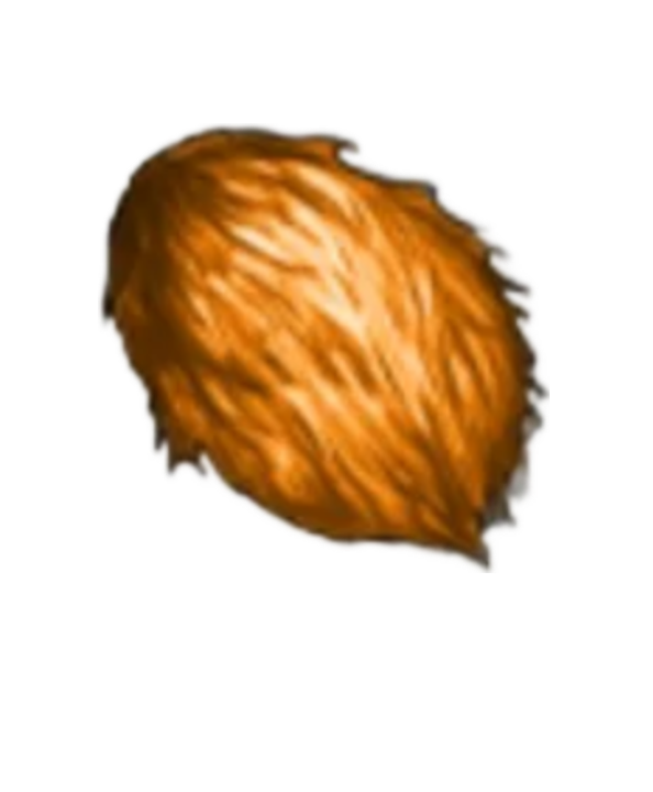 item020602.png