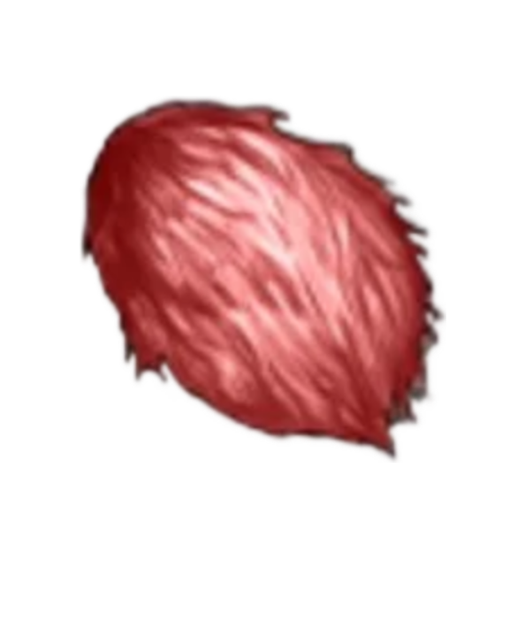 item020606.png