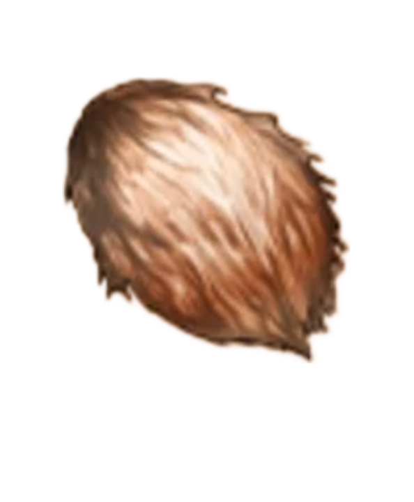 item020608.png