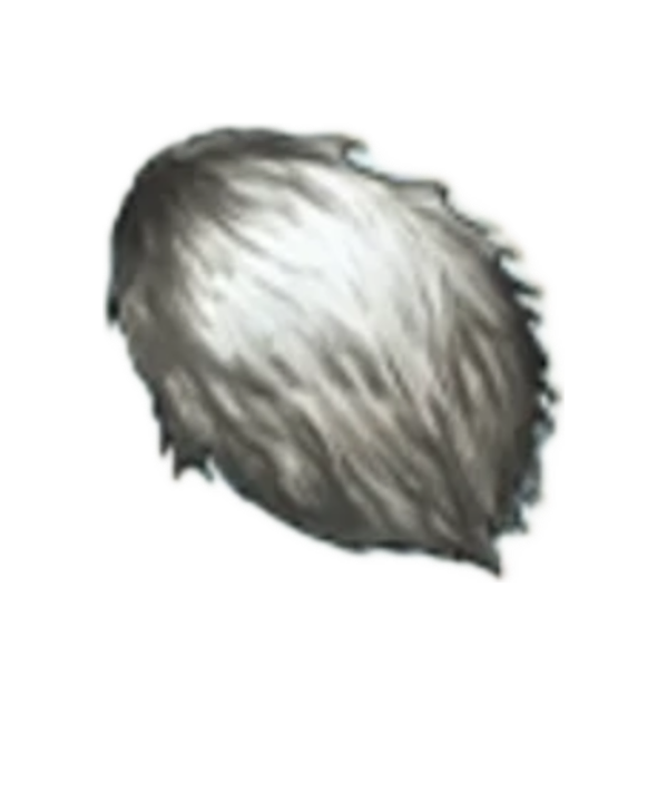 item020609.png