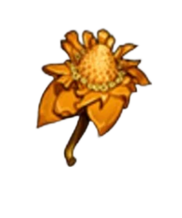 item020902.png