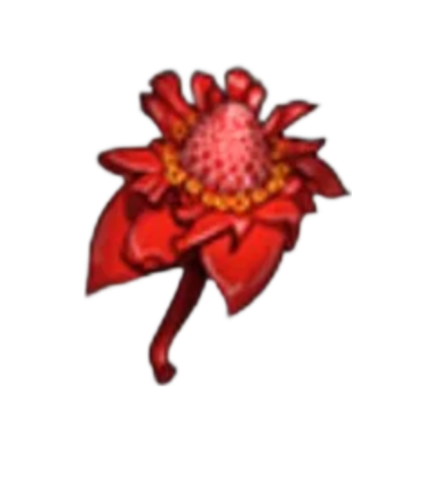 item020906.png