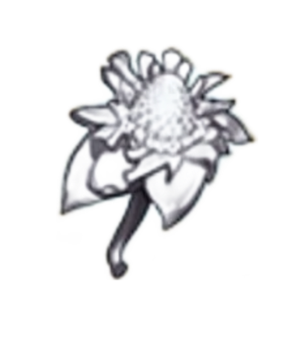 item020909.png