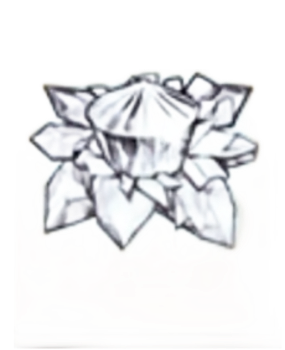 item021009.png